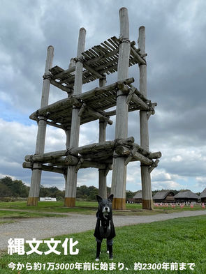 三内丸山遺跡と縄文文化