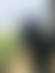 アントニオガウディ