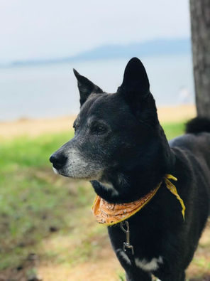 アントニオガウディ