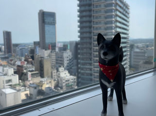 やっと家に帰ってこれてホッとしています。