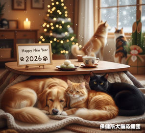 Happy New Year 2026!🐾