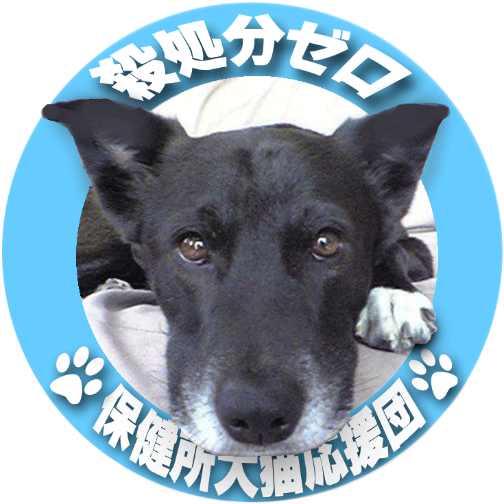 殺処分ゼロ