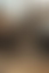 【猫好きさん必見!猫と人間の歴史が2025年に大逆転しました✨】