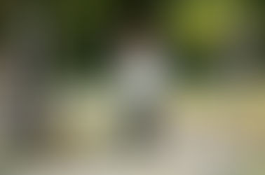 より良い明日へ