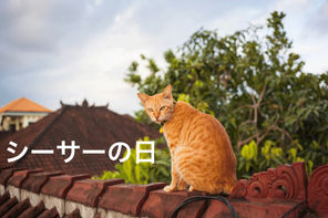 屋根の上のシーサー