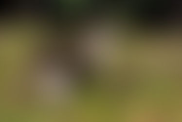 乾燥にお気を付け下さい。