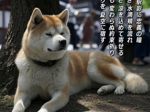 忠犬ハチ公の夏