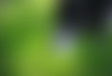 「虫にも五分の魂」