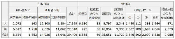 令和7年犬猫殺処分数.jpg