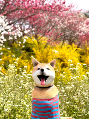 マキノさんの日