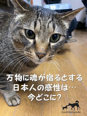 今日は何の日
