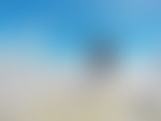 ワンコは水遊びが大好き!