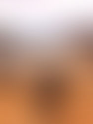 国際山岳デー(国際山の日)(International Mountain Day)