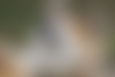 スティーヴィーワンダー