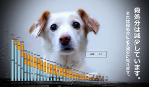 円周率は続いても、殺処分は続いてはいけない！