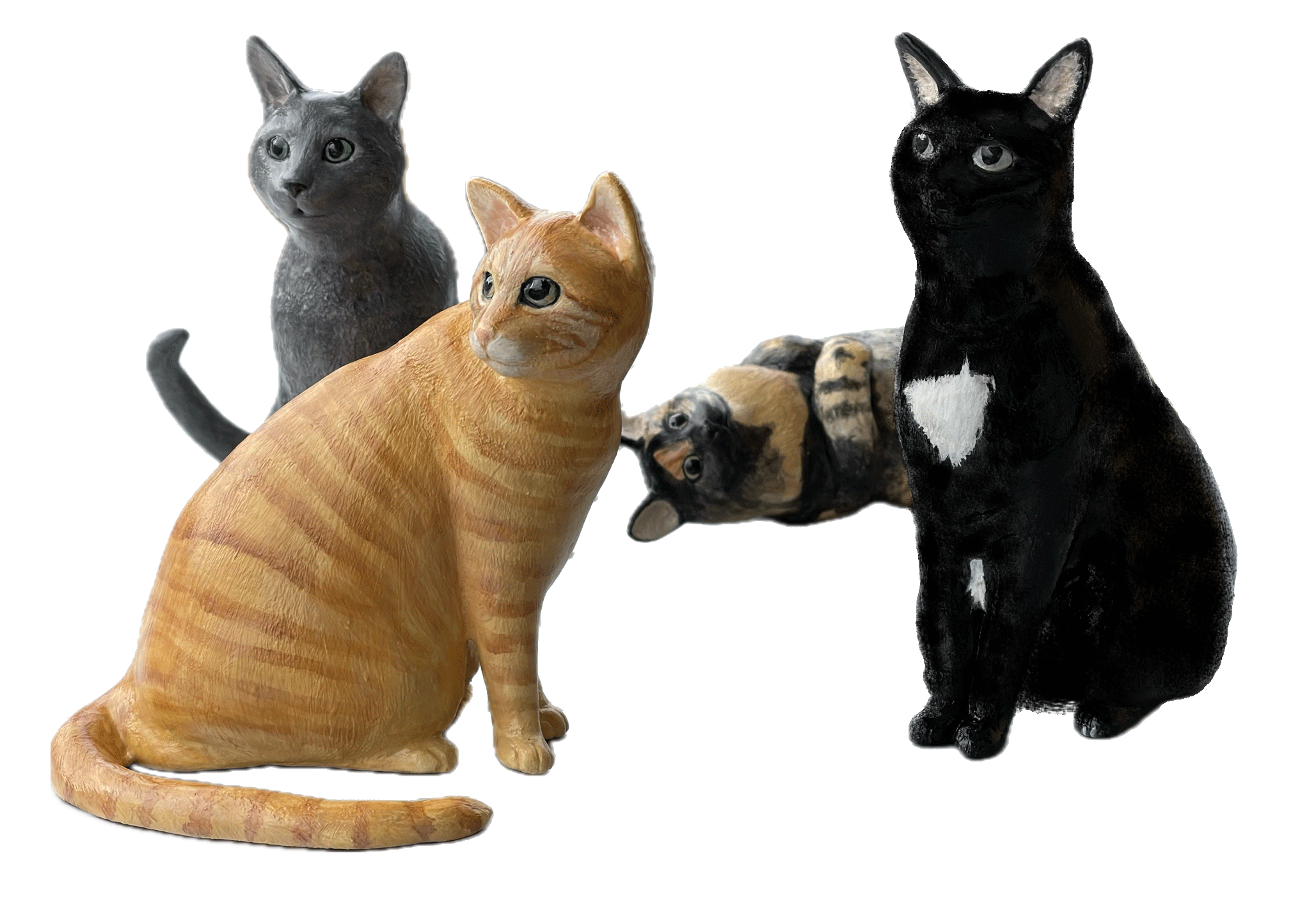 黒猫、茶トラ、グレー、長毛猫