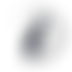 Fractal II - A Chat with GPT - "Reflections in the Black Mirror"