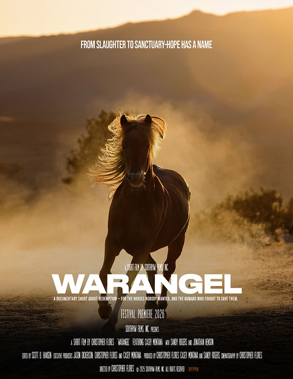 WarAngel Movie Poster V1 copy.JPG