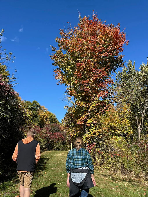 community-beautification-plymouth-ma_edi