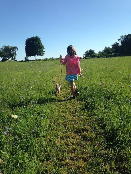 Plymouth-ma-waterfront-walking-grace-trail.JPG