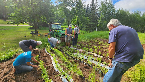 community-beautification-plymouth-ma_edi
