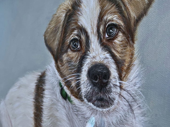 Close-up painting of a puppy looking at the viewer, custom pet portraits.