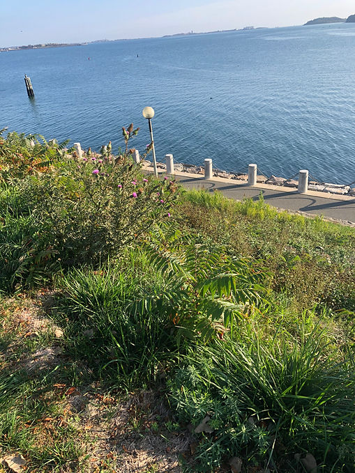 community-beautification-plymouth-ma_edi