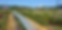 FFCF 2_edited.png
