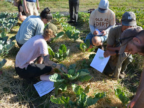 Support young farmers this Giving Tuesday! 