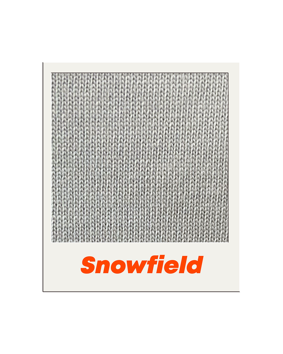 Snowfield