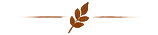 Leaf_Lines_Center_Transparent.png