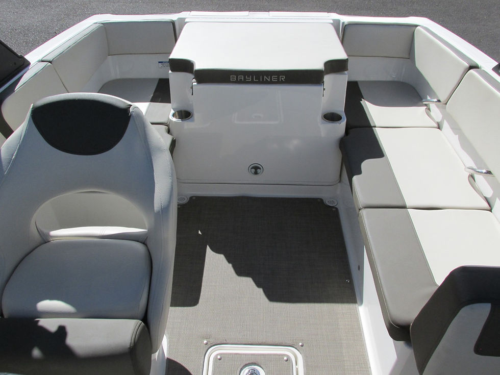 Thumbnail: 2019 Bayliner VR4
