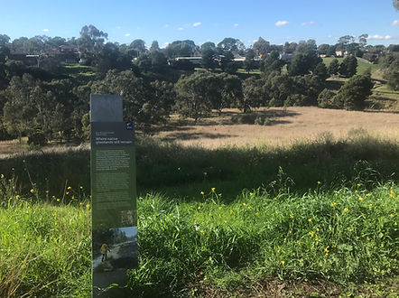 Burrowye Cresent (Rear) Grassland 2021 Photo 02.JPG