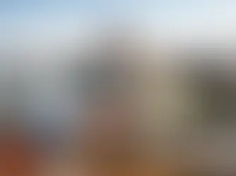 האם חייבים בגרות מדעית ללימודים בהונגריה?