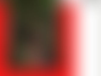 Txai Suruí - A única brasileira a discursar na COP26