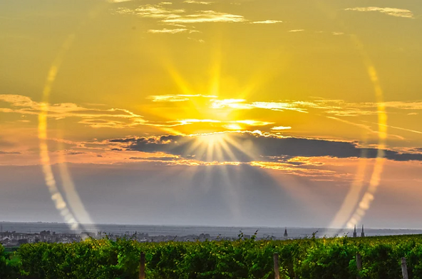 Screenshot 2025-03-30 193420.png