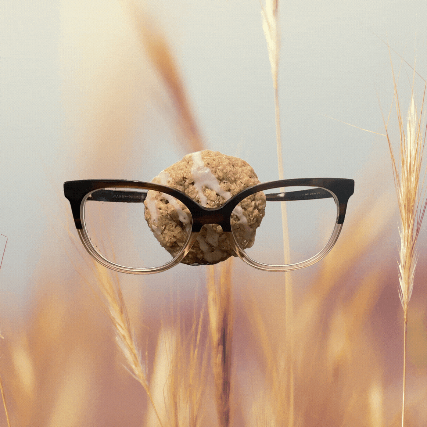 glasses with cookie in wheat.gif