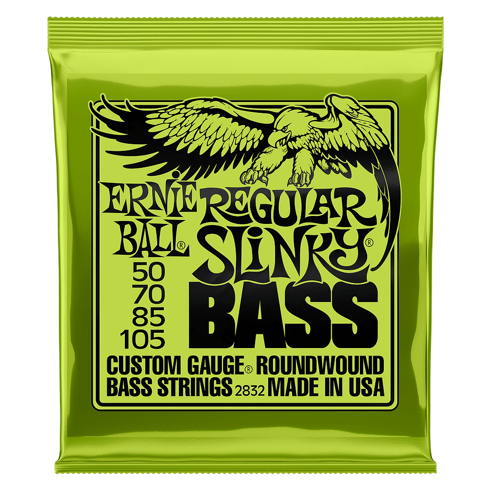 ERNIE BALL REGULAR SLINKY NICKEL WOUND ELECTRIC BASS STRINGS