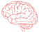 Brain_edited.png