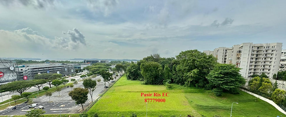 Pasir Ris EC Site.jpg