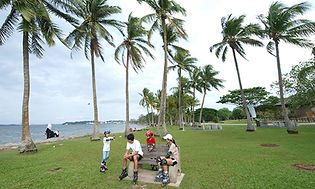 pasir-ris-park.jpg