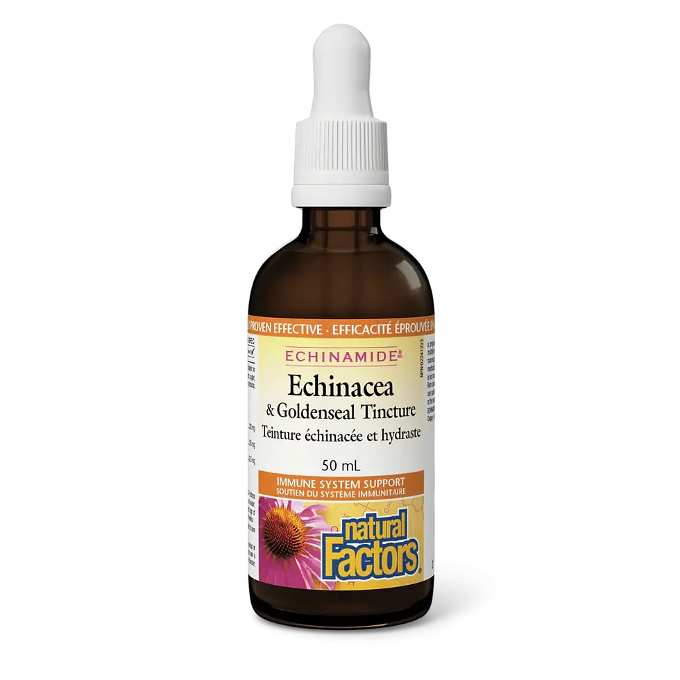 Thumbnail: Natural Factors Echinacea & Goldenseal Tinc 50ml