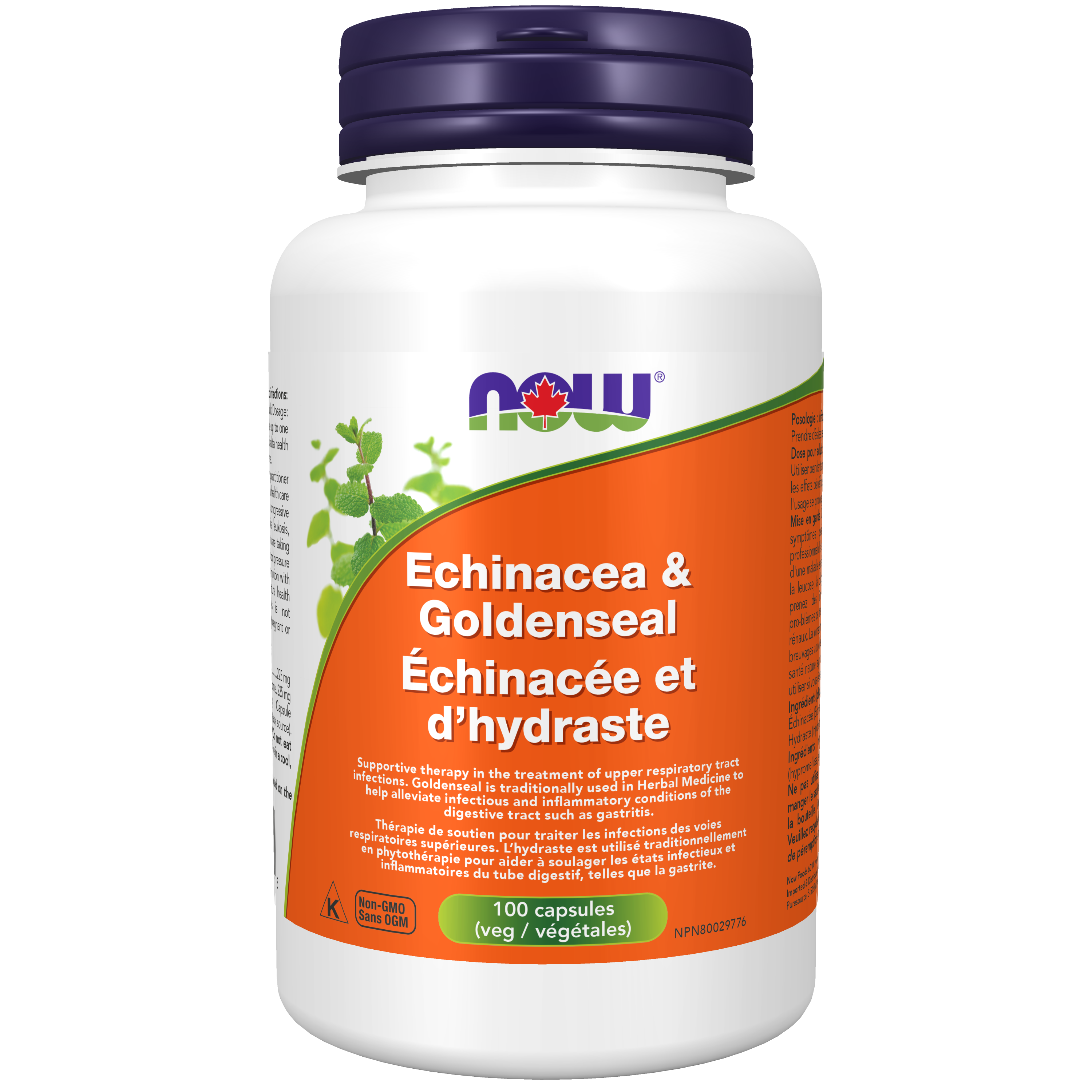 NOW Echinacea & Goldenseal 100Caps