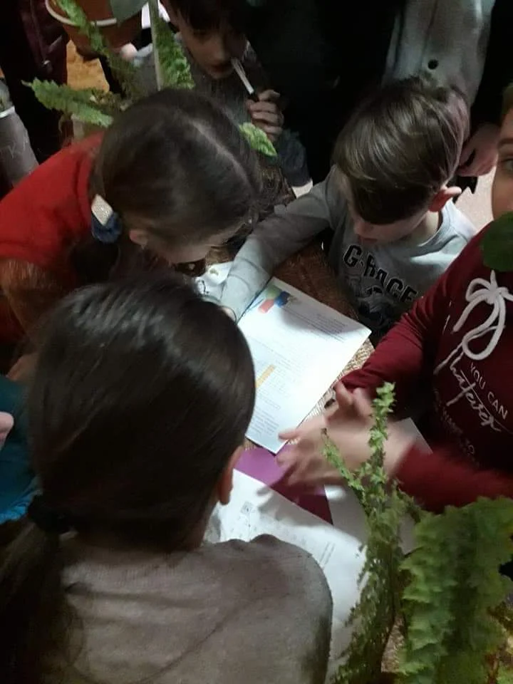 Фото без опису