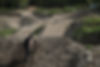 DSCF9353.jpg