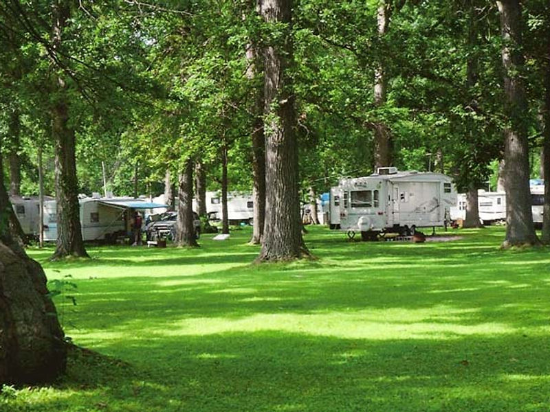 Campground road and mature trees at Welcome Woods RV Campground
