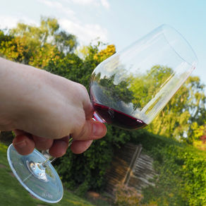 Wine Tasting 7 - Fleurie