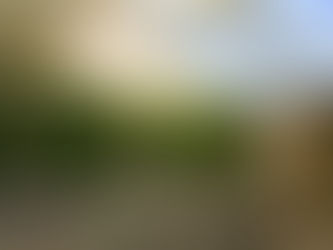 What Are The Benefits Of Gable Roof Patio?