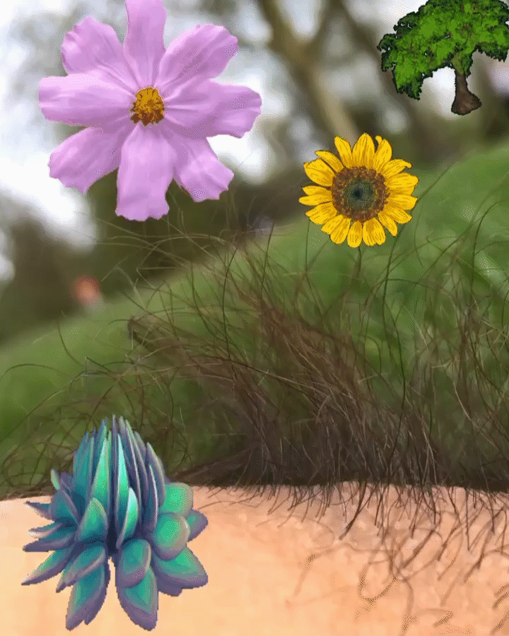 armpit.gif