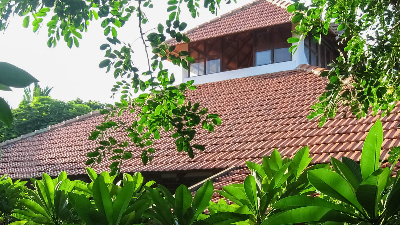 Exterior View copy.jpg